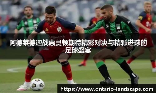 williamhill威廉希尔