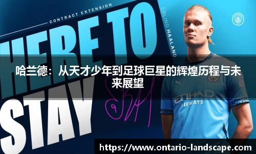 威廉希尔williamhill官方网站