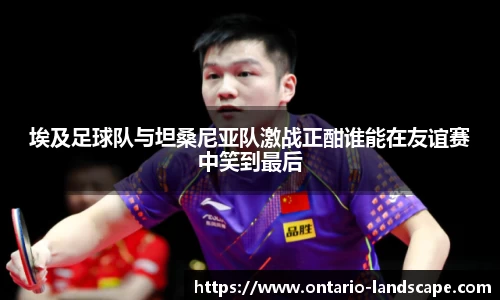 威廉希尔williamhill官方网站